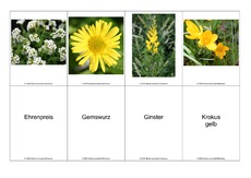 Blumen-Memo-Aufdeckspiel-16.pdf